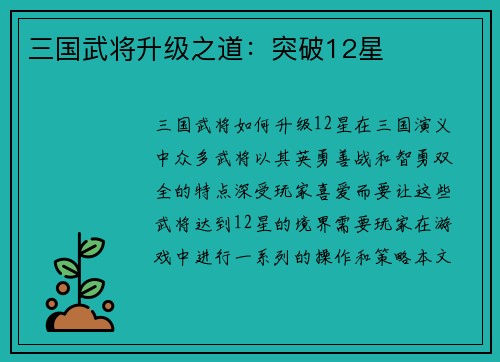 三国武将升级之道：突破12星